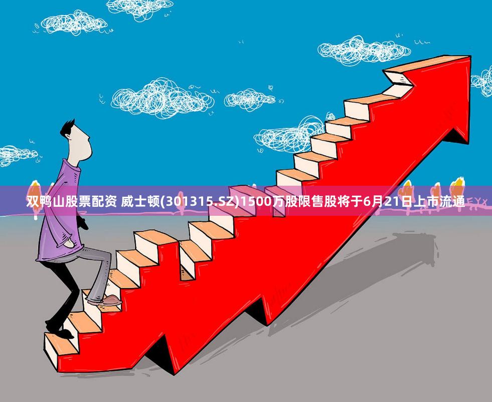 双鸭山股票配资 威士顿(301315.SZ)1500万股限售股将于6月21日上市流通