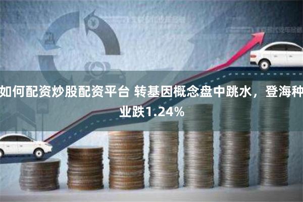 如何配资炒股配资平台 转基因概念盘中跳水，登海种业跌1.24%
