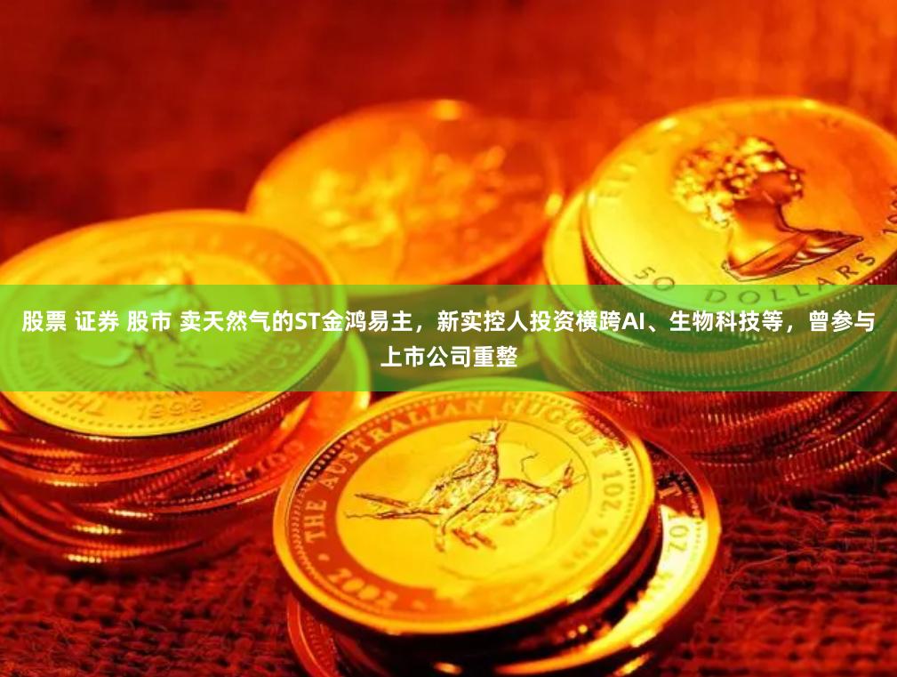 股票 证券 股市 卖天然气的ST金鸿易主，新实控人投资横跨AI、生物科技等，曾参与上市公司重整