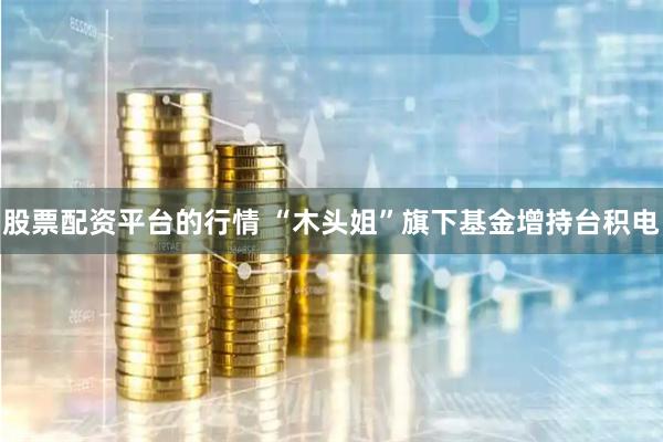 股票配资平台的行情 “木头姐”旗下基金增持台积电