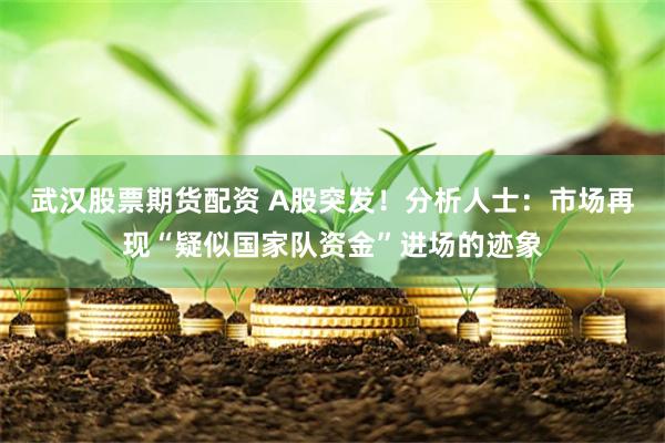 武汉股票期货配资 A股突发！分析人士：市场再现“疑似国家队资金”进场的迹象