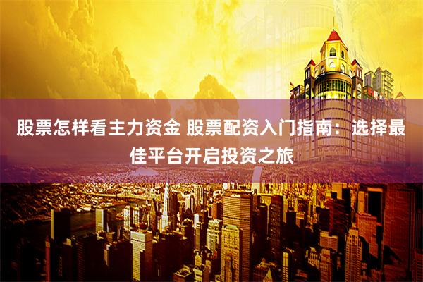 股票怎样看主力资金 股票配资入门指南：选择最佳平台开启投资之旅